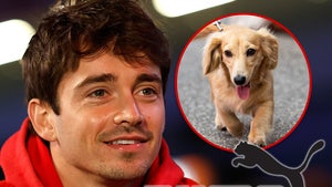 charles leclerc leo dog puma